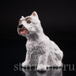 Вестхайленд уайт терьер, Goebel, Германия, вт. пол. 20 в