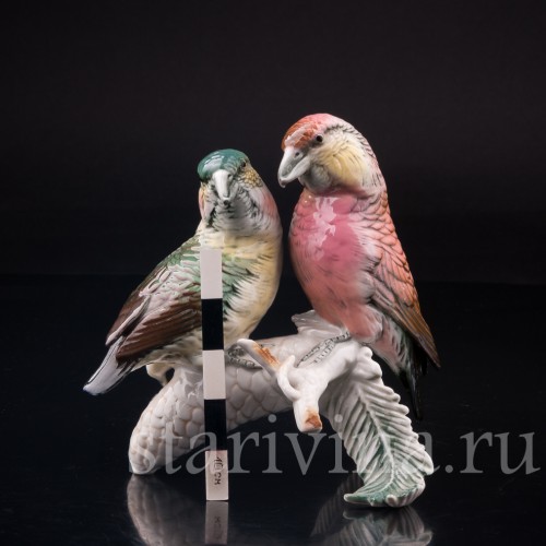 Два клеста на еловой ветке, Karl Ens, Германия, сер. 20 в