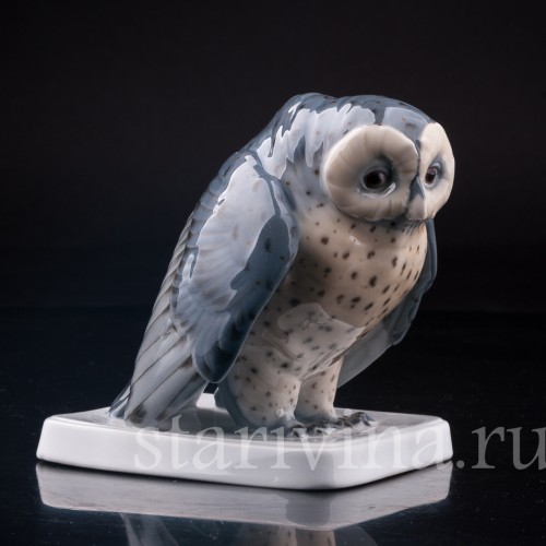 Сова, Metzler & Ortloff, Германия, кон. 19 - нач. 20 вв