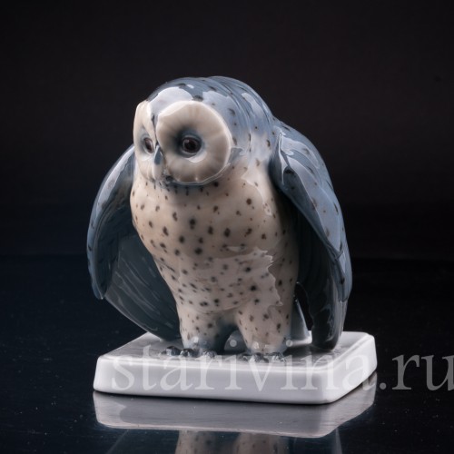 Сова, Metzler & Ortloff, Германия, кон. 19 - нач. 20 вв