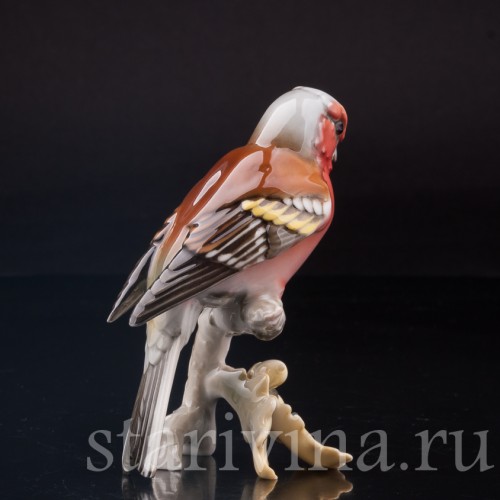 Зяблик на ветке дуба, Hutschenreuther, Германия, 1970 гг