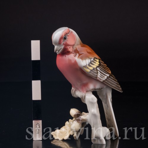 Зяблик на ветке дуба, Hutschenreuther, Германия, 1970 гг