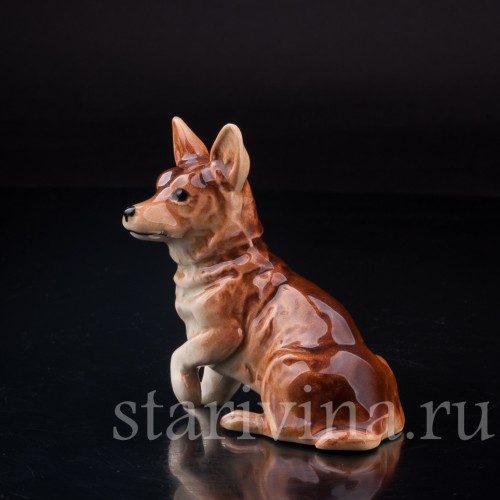 Статуэтка собаки из фарфора Вельш корги, Cortendorf, Германия, до 1973 г.