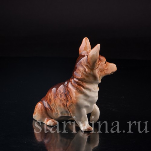 Статуэтка собаки из фарфора Вельш корги, Cortendorf, Германия, до 1973 г.
