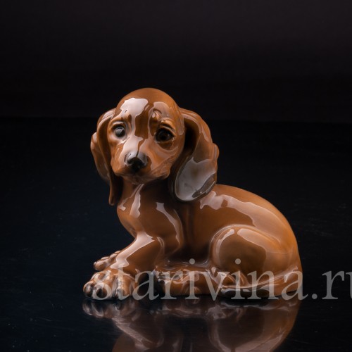 Щенок таксы, Rosenthal, Германия