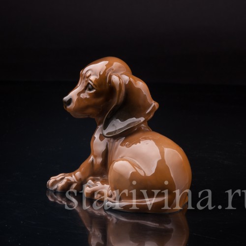 Щенок таксы, Rosenthal, Германия