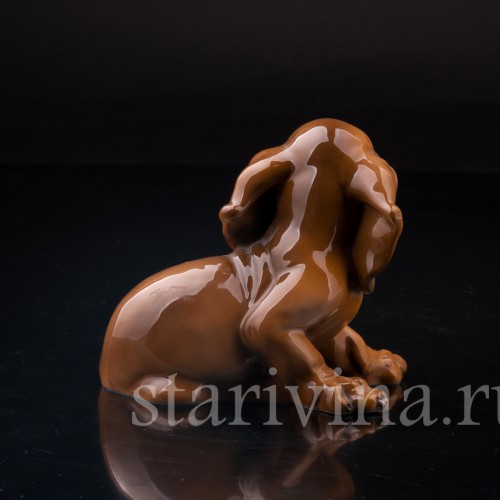 Щенок таксы, Rosenthal, Германия