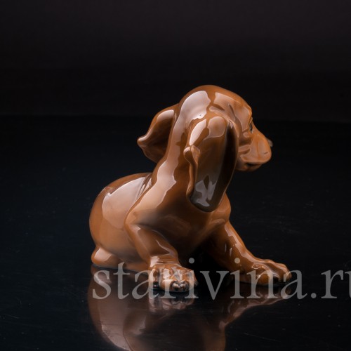 Щенок таксы, Rosenthal, Германия