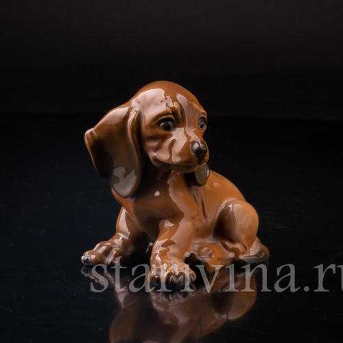 Щенок таксы, Rosenthal, Германия