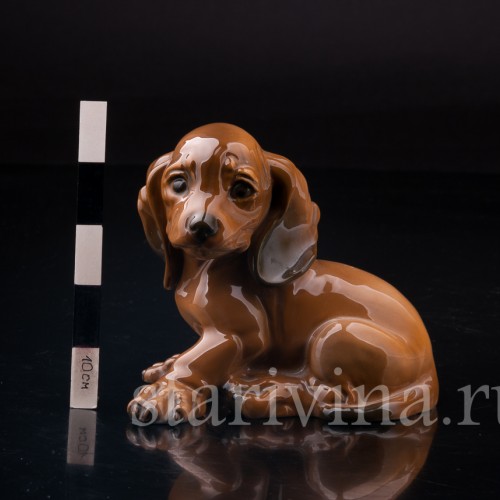 Щенок таксы, Rosenthal, Германия