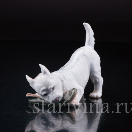 Фигурка из фарфора Вест-хайлед-уайт терьер с ботинком, Royal Copenhagen, Дания, вт. пол. 20 в.
