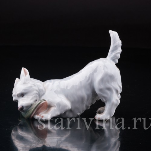 Фигурка из фарфора Вест-хайлед-уайт терьер с ботинком, Royal Copenhagen, Дания, вт. пол. 20 в.