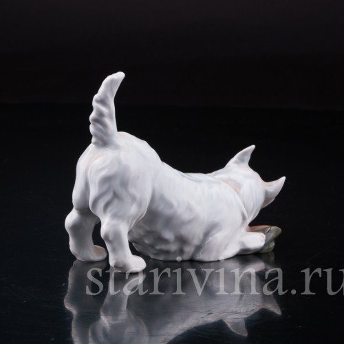 Фигурка из фарфора Вест-хайлед-уайт терьер с ботинком, Royal Copenhagen, Дания, вт. пол. 20 в.