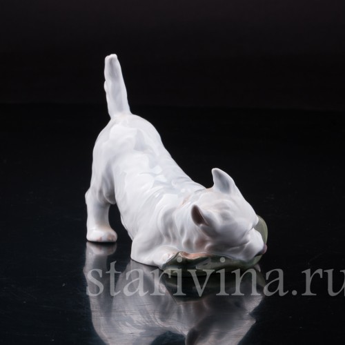 Фигурка из фарфора Вест-хайлед-уайт терьер с ботинком, Royal Copenhagen, Дания, вт. пол. 20 в.