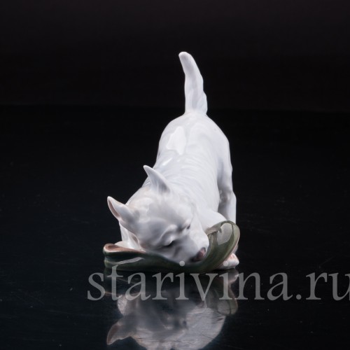 Фигурка из фарфора Вест-хайлед-уайт терьер с ботинком, Royal Copenhagen, Дания, вт. пол. 20 в.