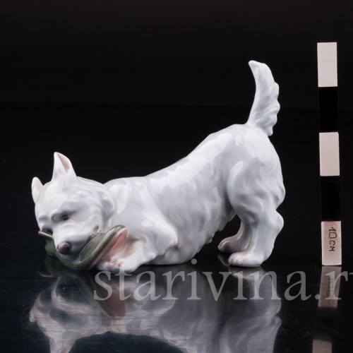 Фигурка из фарфора Вест-хайлед-уайт терьер с ботинком, Royal Copenhagen, Дания, вт. пол. 20 в.