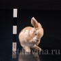 Умывающийся кролик, Hutschenreuther, Германия, 1970 гг