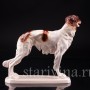 Статуэтка собаки из фарфора Борзая, Hertwig & Co, Германия, сер. 20 в.