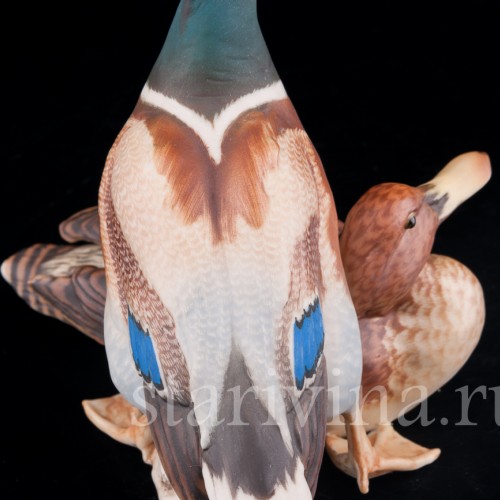 Утка и селезень, Alka Kaiser, Германия