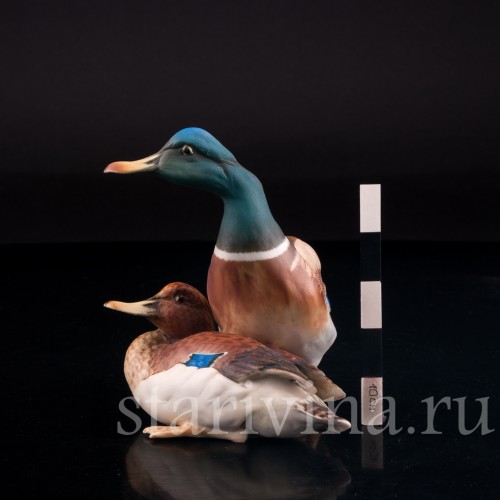 Утка и селезень, Alka Kaiser, Германия