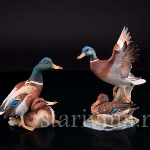 Утка и селезень, Alka Kaiser, Германия