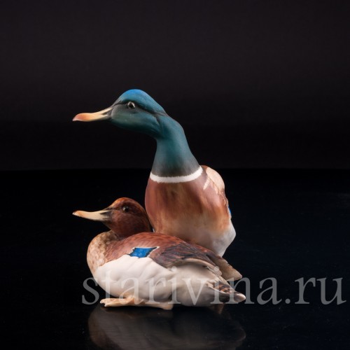 Утка и селезень, Alka Kaiser, Германия