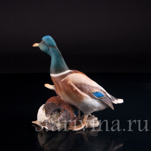 Утка и селезень, Alka Kaiser, Германия