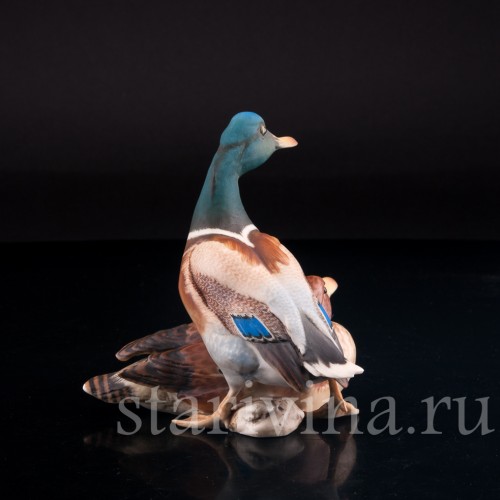 Утка и селезень, Alka Kaiser, Германия