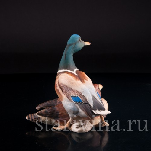 Утка и селезень, Alka Kaiser, Германия