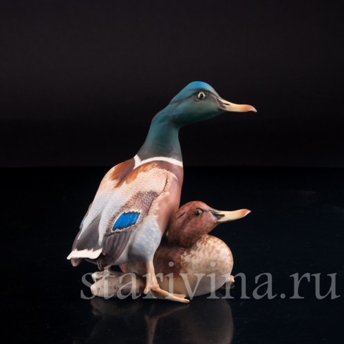 Утка и селезень, Alka Kaiser, Германия