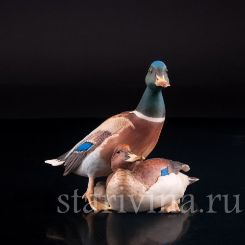 Утка и селезень, Alka Kaiser, Германия