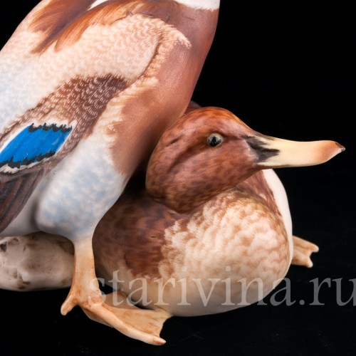 Утка и селезень, Alka Kaiser, Германия