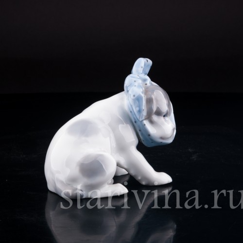Старинная фарфорвая статуэтка Собака с перевязанным зубом, Heubach, Германия, 1882-1915 гг.