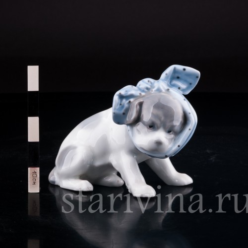 Старинная фарфорвая статуэтка Собака с перевязанным зубом, Heubach, Германия, 1882-1915 гг.