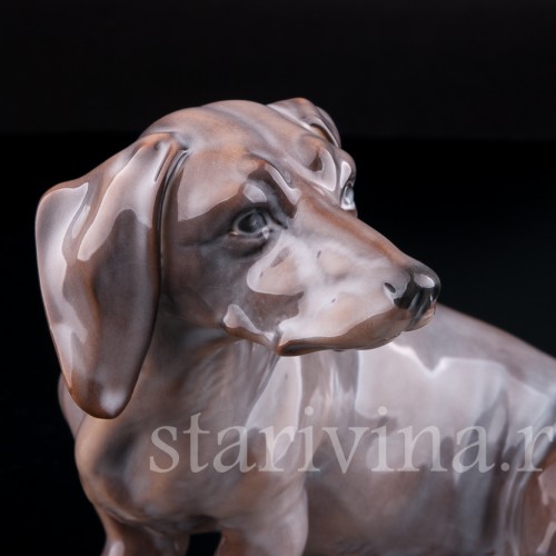 Статуэтка собаки из фарфора Такса, Rorstrand, Швеция, кон. 19 - нач. 20 вв.