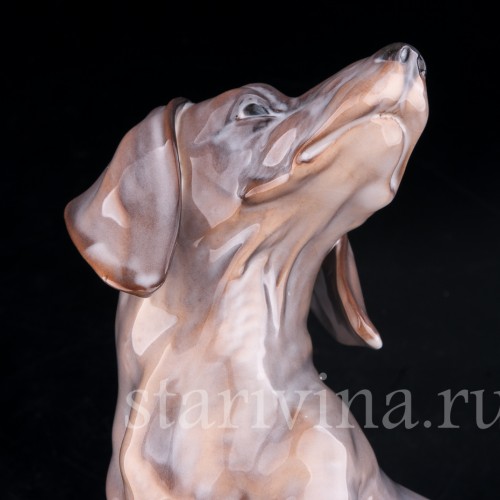 Статуэтка собаки из фарфора Такса, Rorstrand, Швеция, кон. 19 - нач. 20 вв.
