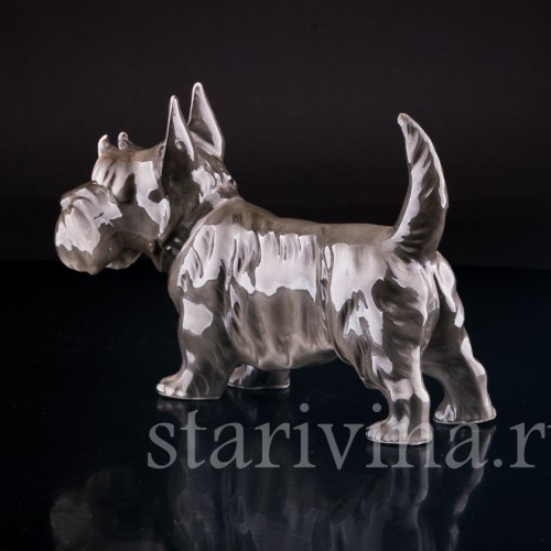 Скотч терьер, Sitzendorf, Германия