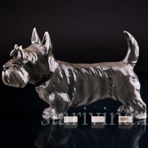 Скотч терьер, Sitzendorf, Германия