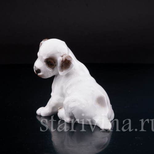 Сидящий щенок, Rosenthal, Германия