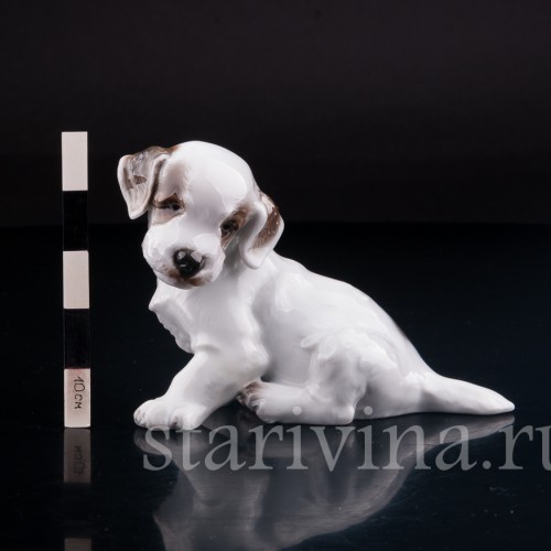 Сидящий щенок, Rosenthal, Германия