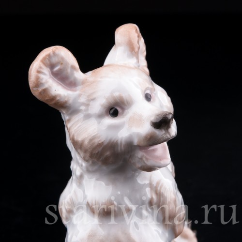 Медвежонок, миниатюра, Rosenthal, Германия, 1920 гг