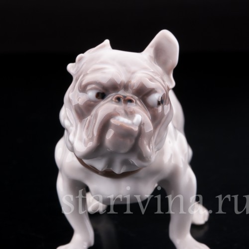 Фигурка собаки из фарфора Английский бульдог, "Забияка", Bing & Grondahl, Дания, сер. 20 в.