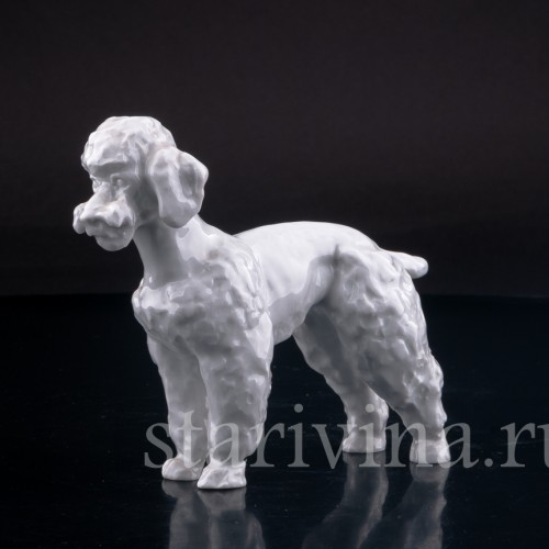 Фигурка собаки из фарфора Пудель, Meissen, Германия, 1964 г.