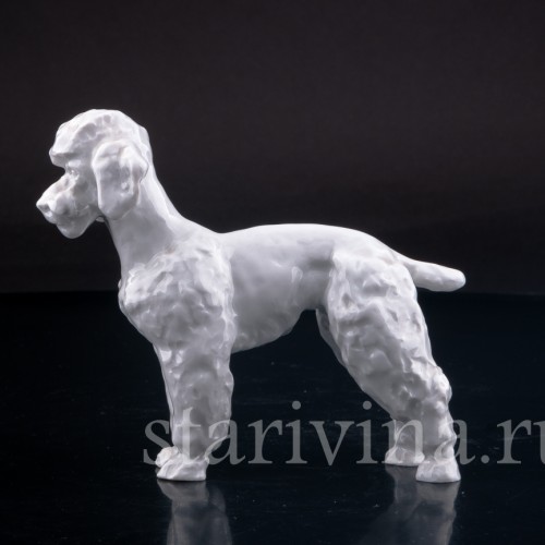 Фигурка собаки из фарфора Пудель, Meissen, Германия, 1964 г.
