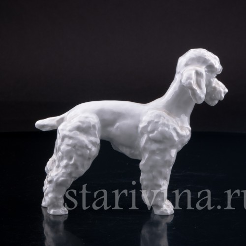 Фигурка собаки из фарфора Пудель, Meissen, Германия, 1964 г.