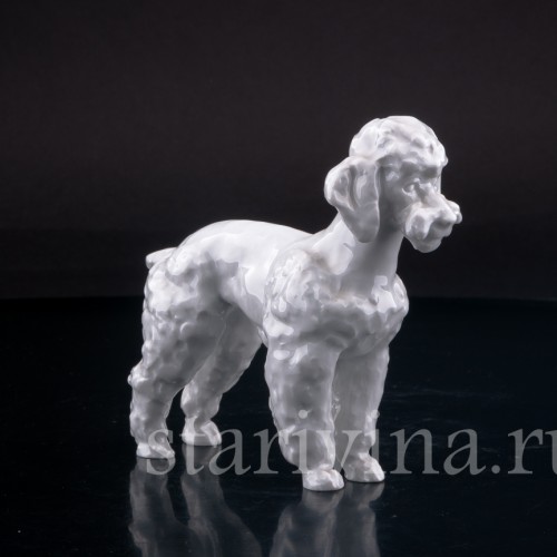 Фигурка собаки из фарфора Пудель, Meissen, Германия, 1964 г.