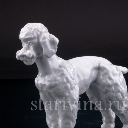 Фигурка собаки из фарфора Пудель, Meissen, Германия, 1964 г.