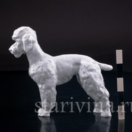 Фигурка собаки из фарфора Пудель, Meissen, Германия, 1964 г.