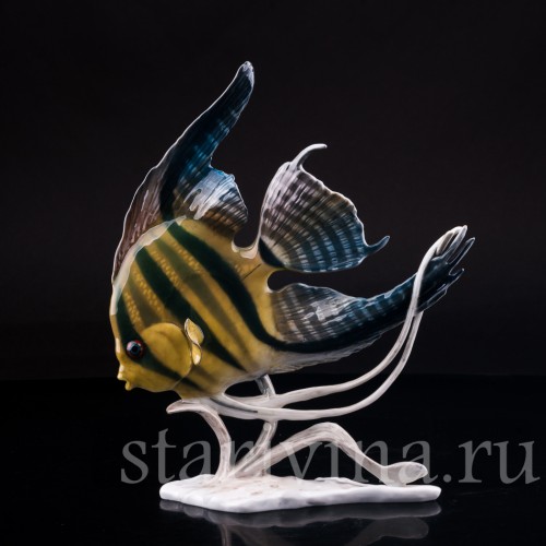 Фарфоровая статуэтка рыбы Скалярия Rosenthal, Германия, 1970 гг.