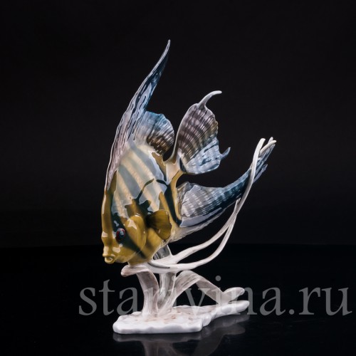 Фарфоровая статуэтка рыбы Скалярия Rosenthal, Германия, 1970 гг.